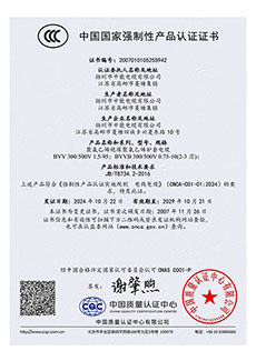 CCC強(qiáng)制性產(chǎn)品認(rèn)證證書(shū) (3)