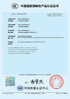 CCC強(qiáng)制性產(chǎn)品認(rèn)證證書(shū) (1)